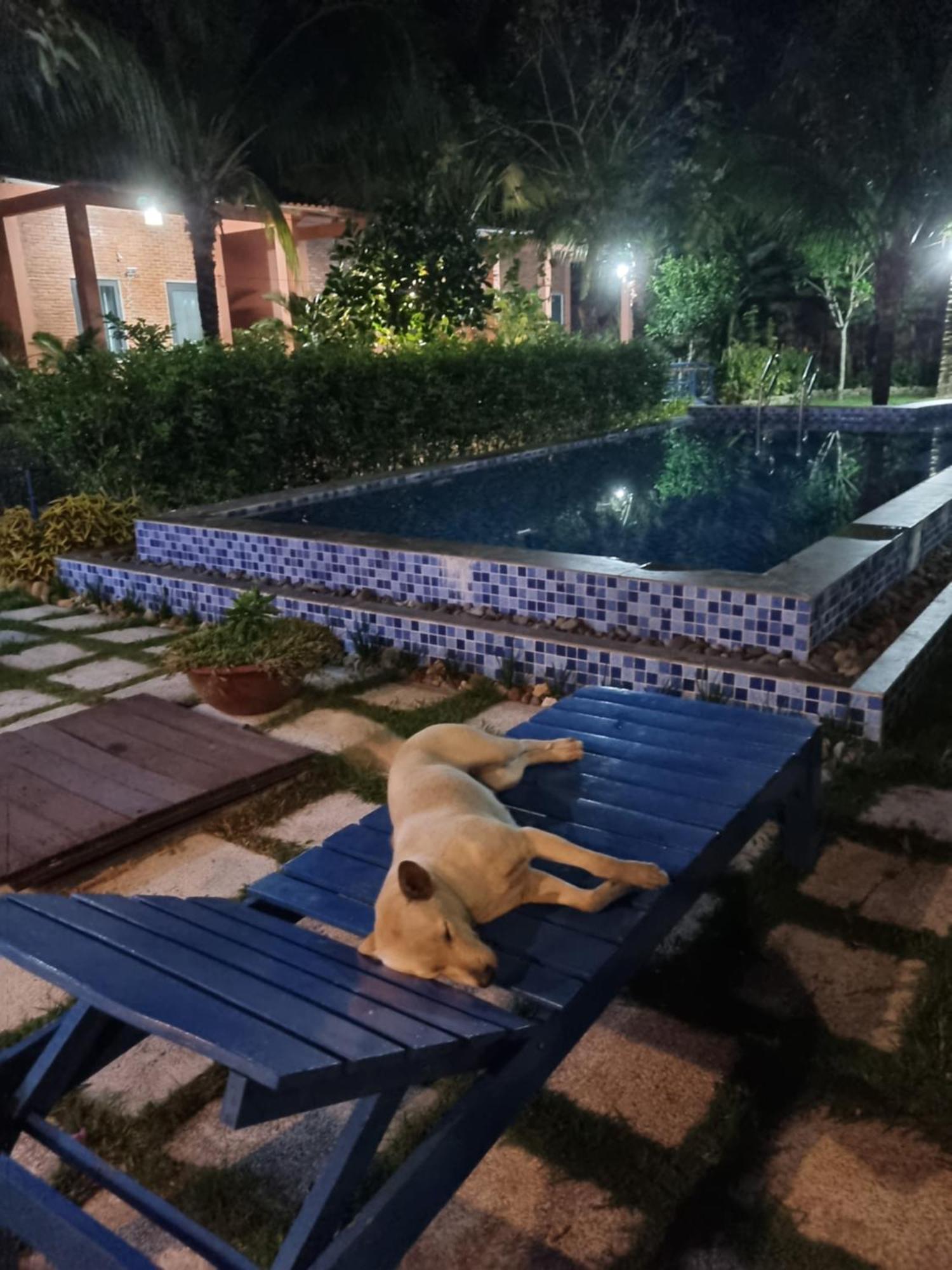 Anan Boutique Bungalows With Private Kitchen Дуонг-Донг Экстерьер фото